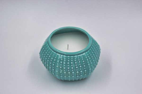 Candle Kina/Sea Urchin - Image 2