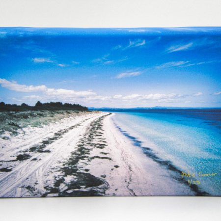 Seaweed Strip - Coastal New Zealand Captured On Canvas By Mike Conner Photography, Limited Edition