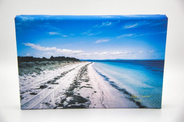 Seaweed Strip - Coastal New Zealand Captured On Canvas By Mike Conner Photography, Limited Edition