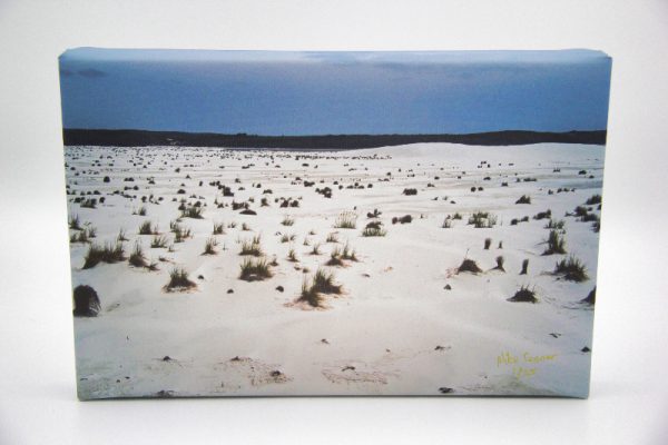 Sandy Desert - Coastal New Zealand Captured On Canvas By Mike Conner Photography, Limited Edition